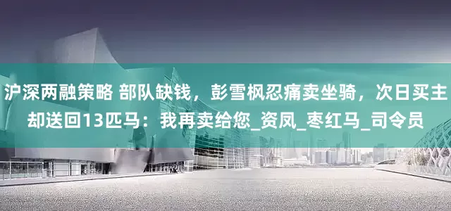 沪深两融策略 部队缺钱，彭雪枫忍痛卖坐骑，次日买主却送回13匹马：我再卖给您_资凤_枣红马_司令员