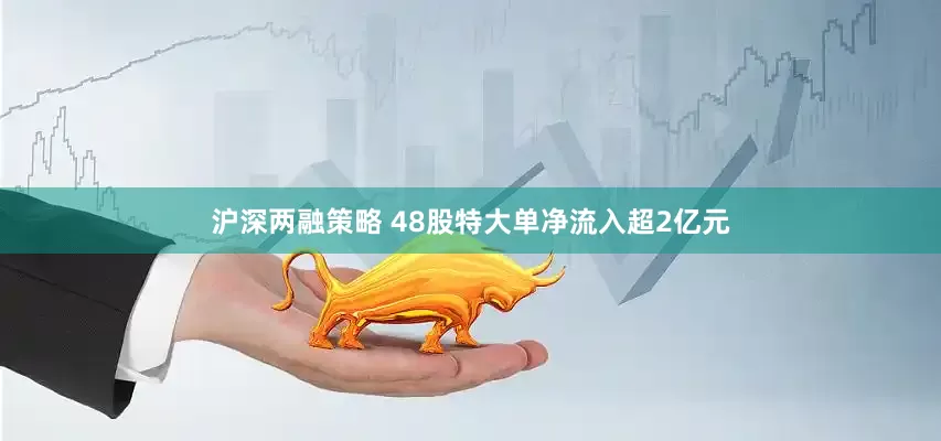 沪深两融策略 48股特大单净流入超2亿元